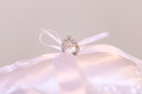 Amanda and TJ 2019-9770