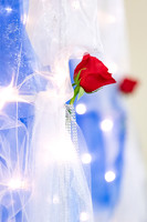 Amanda and TJ 2019-9767
