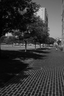 Roadtrip2012-8606