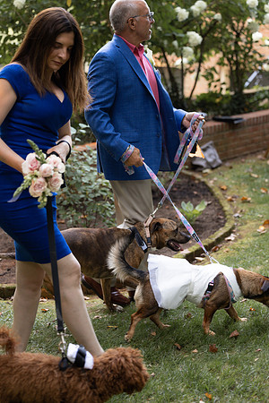 -Wedding Diana and Ed-0887