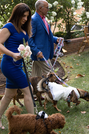-Wedding Diana and Ed-0888