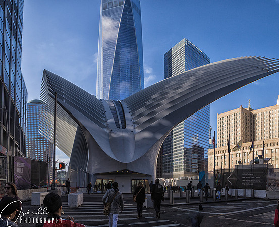 Anniversay trip 2017 NYC-173-Pano-Edit