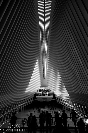 Anniversay trip 2017 NYC-178-2