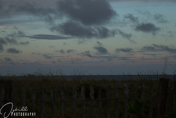 Charelston Trip July 2017-001