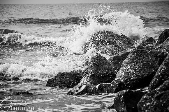 Charelston Trip July 2017-068