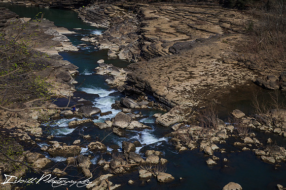 Rock Island State Park Spring 2016-011