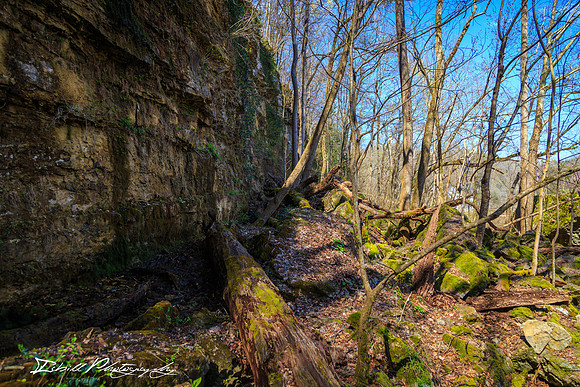 Rock Island State Park Spring 2016-027