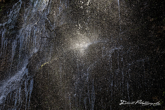 Rock Island State Park Spring 2016-029-Edit
