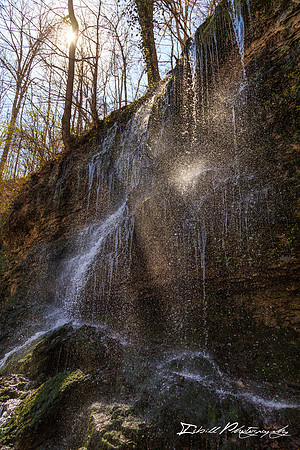 Rock Island State Park Spring 2016-033