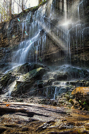 Rock Island State Park Spring 2016-034-Edit