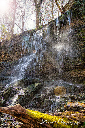 Rock Island State Park Spring 2016-036-Edit