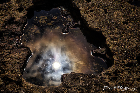 Rock Island State Park Spring 2016-044-Edit