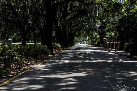 Tybe Island Summer 2016-044