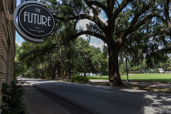 Tybe Island Summer 2016-048
