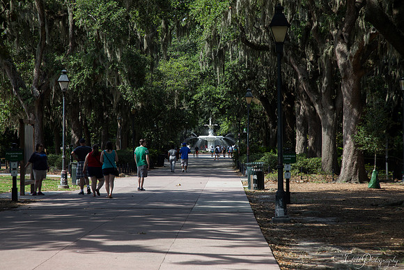 Tybe Island Summer 2016-075