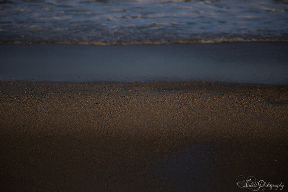 Tybe Island Summer 2016-078