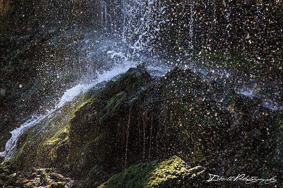 Rock Island State Park Spring 2016-030
