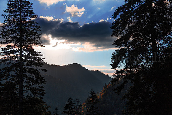 Clingmans Dome 2016-004-Edit