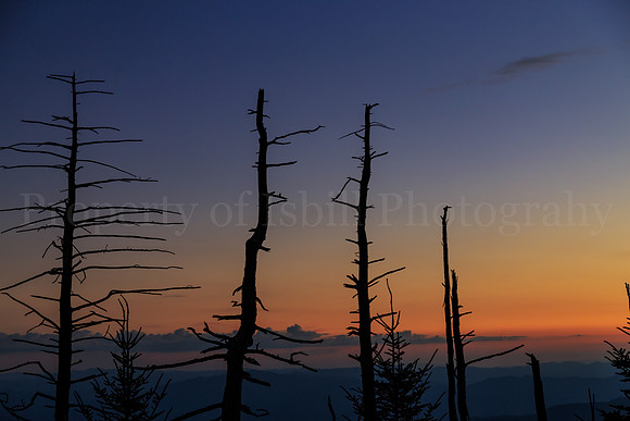 Clingmans Dome 2016-071
