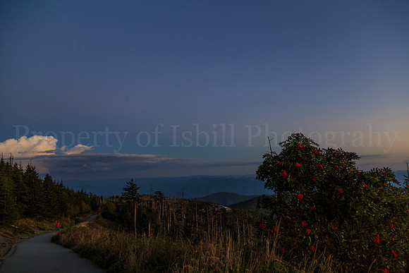 Clingmans Dome 2016-073
