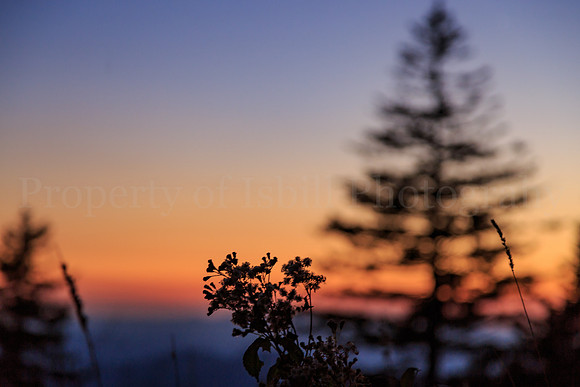 Clingmans Dome 2016-075