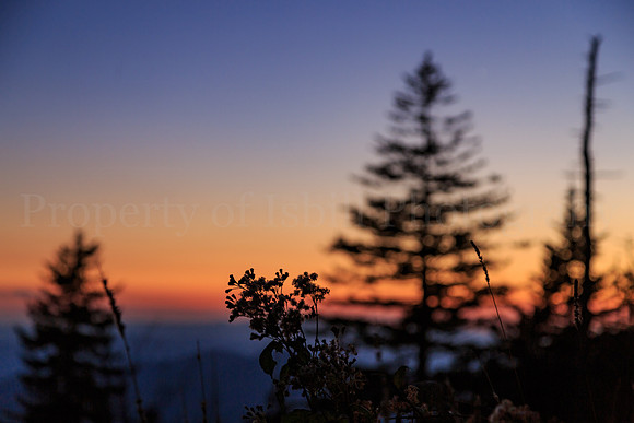 Clingmans Dome 2016-076