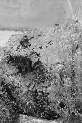 Roadtrip2012-8878