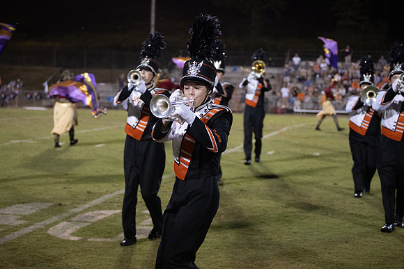 LC VS GREENBACK 2019-1460