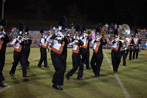 LC VS GREENBACK 2019-1463