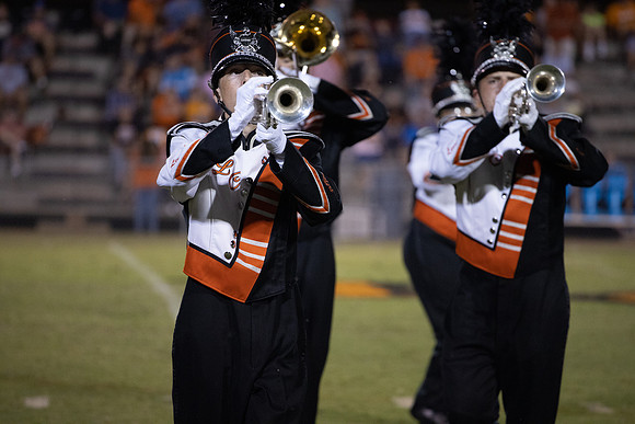 LC VS GREENBACK 2019-1505