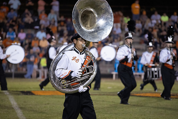 LC VS GREENBACK 2019-1519