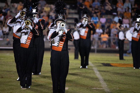 LC VS GREENBACK 2019-1533