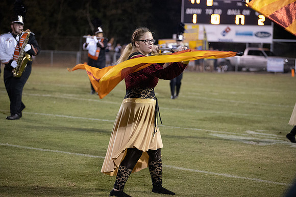 LC VS GREENBACK 2019-1535