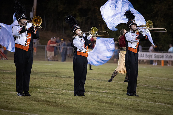 LC VS GREENBACK 2019-1582