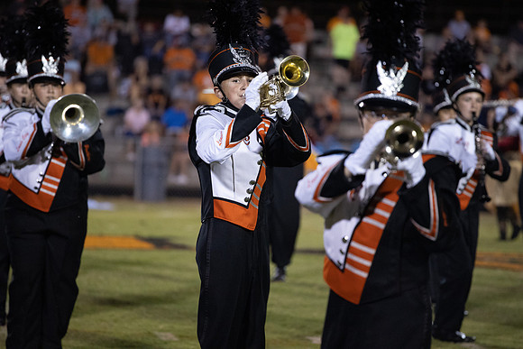 LC VS GREENBACK 2019-1633
