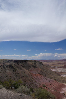 Roadtrip2012-8819